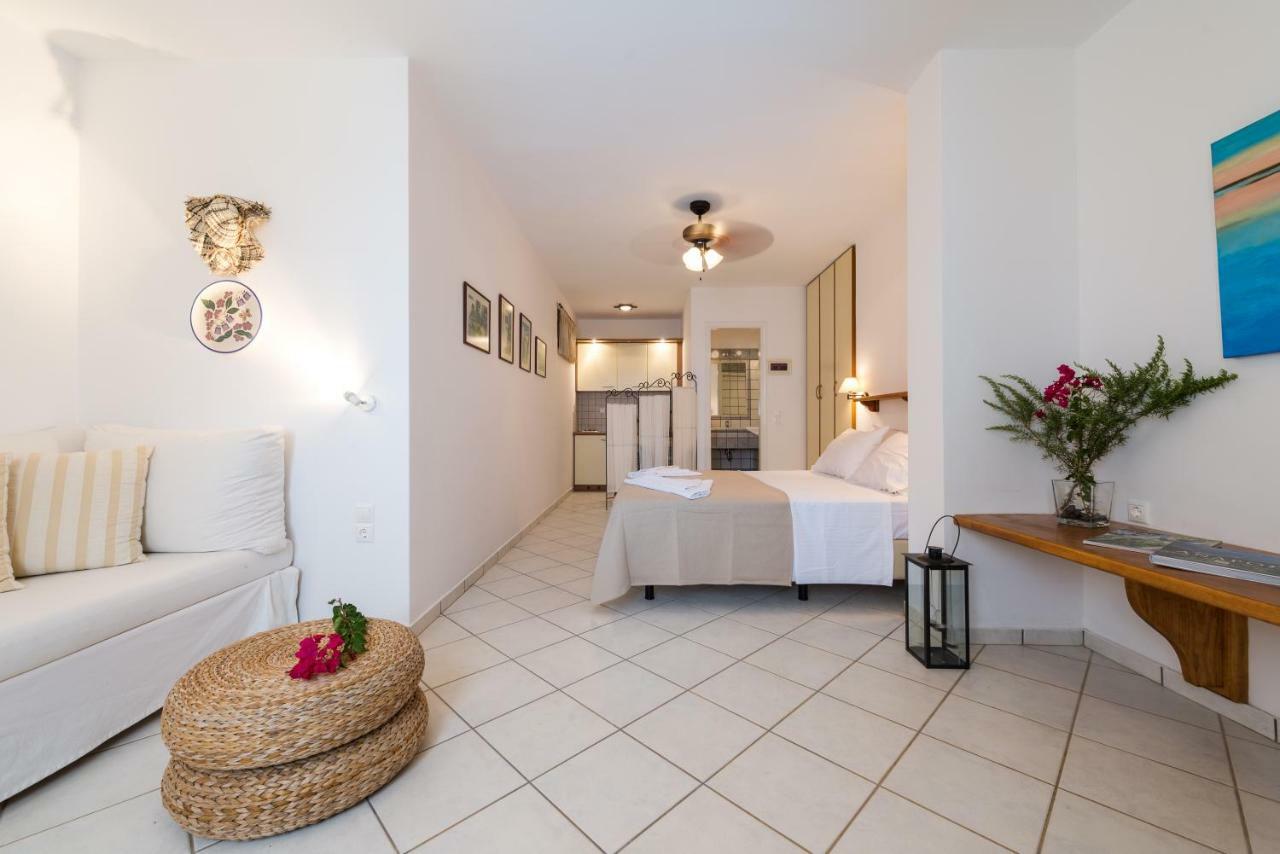 Apartment Andros Belle Vue Kipri (Andros)